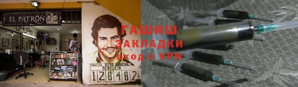 гидра Белокуриха