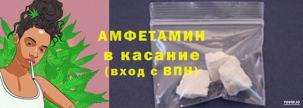гидра Белокуриха