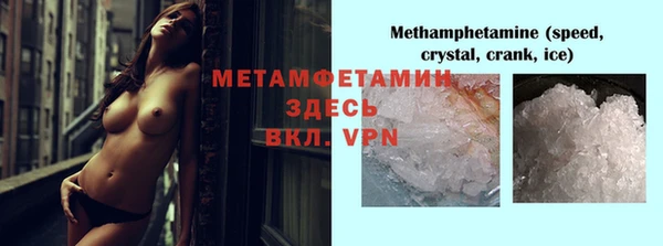 гидра Белокуриха