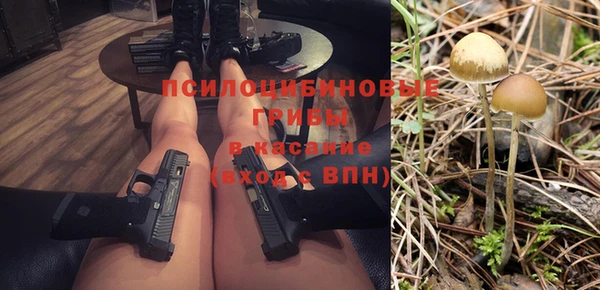 гидра Белокуриха