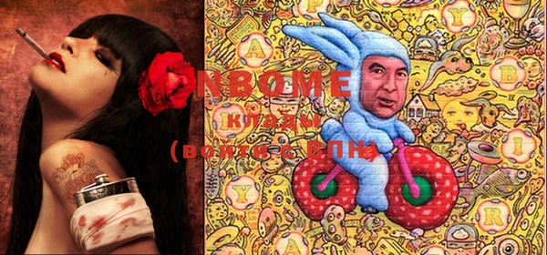гидра Белокуриха