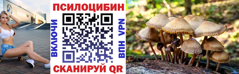 darknet клад  Кстово  Псилоцибиновые грибы GOLDEN TEACHER  KRAKEN сайт 
